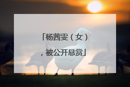杨茜雯（女），被公开悬赏