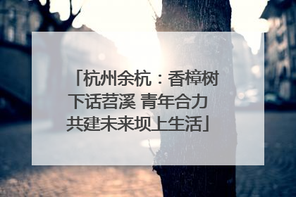杭州余杭：香樟树下话苕溪 青年合力共建未来坝上生活