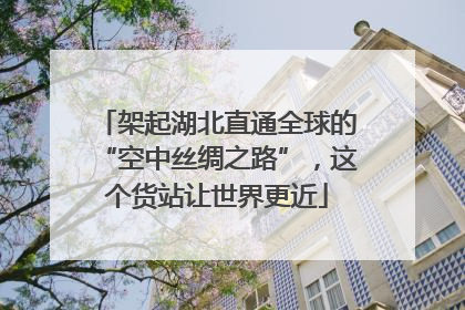 架起湖北直通全球的“空中丝绸之路”，这个货站让世界更近