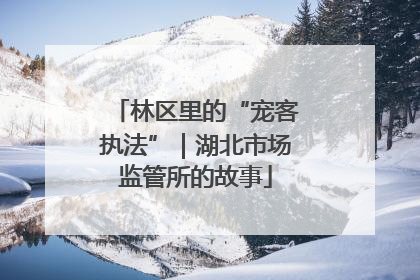 林区里的“宠客执法”｜湖北市场监管所的故事