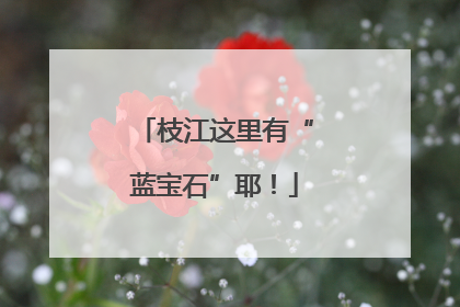 枝江这里有“蓝宝石”耶！
