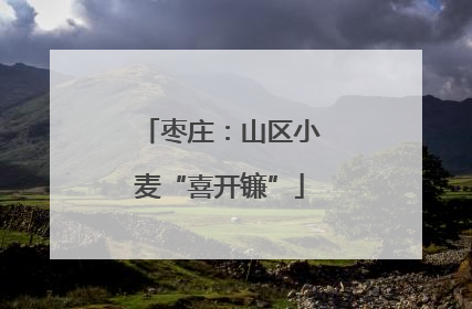 枣庄：山区小麦“喜开镰”