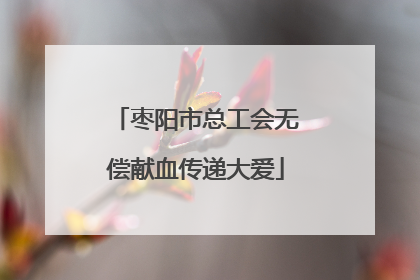 枣阳市总工会无偿献血传递大爱