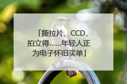 撕拉片、CCD、拍立得……年轻人正为电子怀旧买单
