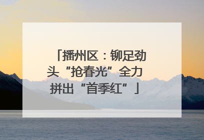 播州区：铆足劲头“抢春光”全力拼出“首季红”