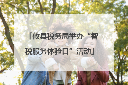 攸县税务局举办“智税服务体验日”活动