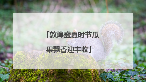 敦煌盛夏时节瓜果飘香迎丰收