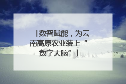 数智赋能，为云南高原农业装上“数字大脑”