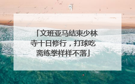 文班亚马结束少林寺十日修行，打球吃斋练拳样样不落