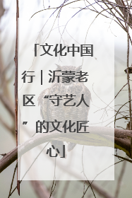 文化中国行｜沂蒙老区“守艺人”的文化匠心