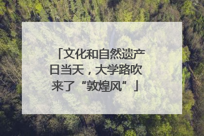 文化和自然遗产日当天，大学路吹来了“敦煌风”