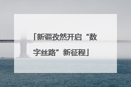 新疆孜然开启“数字丝路”新征程