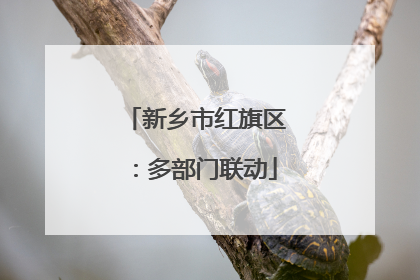新乡市红旗区：多部门联动