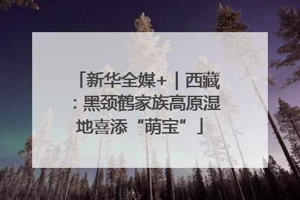 新华全媒+｜西藏：黑颈鹤家族高原湿地喜添“萌宝”