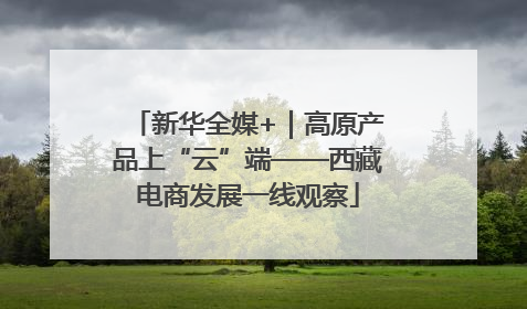新华全媒+｜高原产品上“云”端——西藏电商发展一线观察