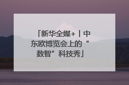 新华全媒+丨中东欧博览会上的“数智”科技秀