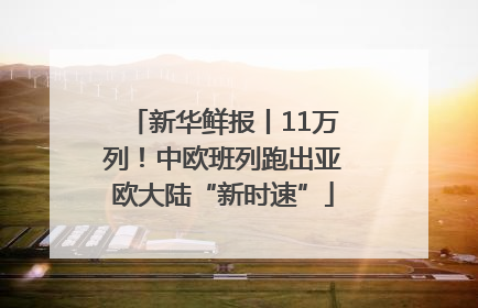 新华鲜报丨11万列！中欧班列跑出亚欧大陆“新时速”