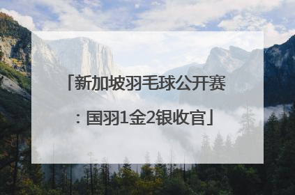 新加坡羽毛球公开赛：国羽1金2银收官