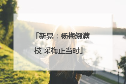 新晃：杨梅缀满枝 采梅正当时