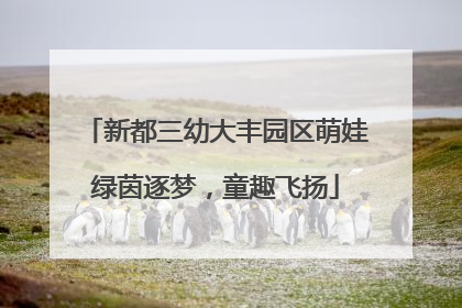 新都三幼大丰园区萌娃绿茵逐梦，童趣飞扬