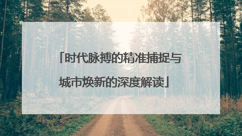 时代脉搏的精准捕捉与城市焕新的深度解读