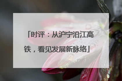 时评：从沪宁沿江高铁，看见发展新脉络
