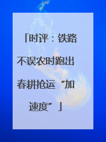 时评：铁路不误农时跑出春耕抢运“加速度”