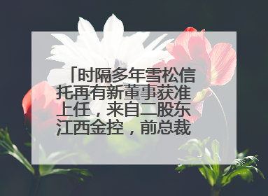 时隔多年雪松信托再有新董事获准上任，来自二股东江西金控，前总裁上月刚被罚