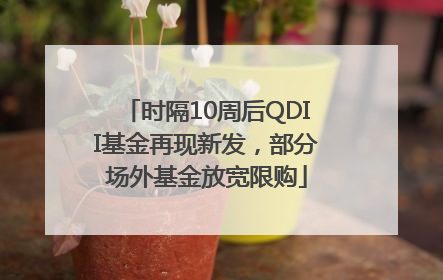 时隔10周后QDII基金再现新发，部分场外基金放宽限购