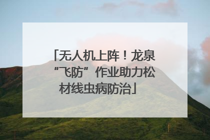 无人机上阵！龙泉“飞防”作业助力松材线虫病防治