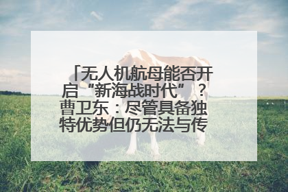 无人机航母能否开启“新海战时代”？曹卫东：尽管具备独特优势但仍无法与传统航母相提并论