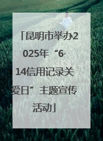 昆明市举办2025年“6·14信用记录关爱日”主题宣传活动