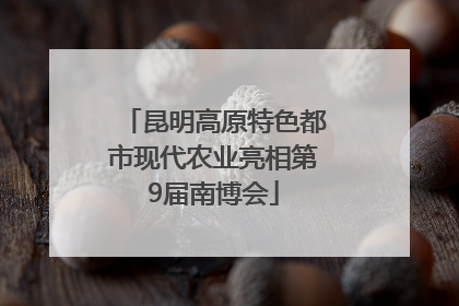 昆明高原特色都市现代农业亮相第9届南博会