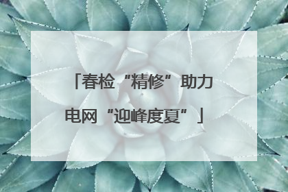 春检“精修”助力电网“迎峰度夏”