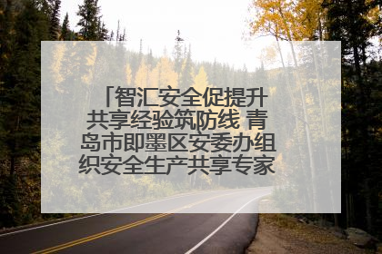 智汇安全促提升 共享经验筑防线 青岛市即墨区安委办组织安全生产共享专家现场观摩学习活动