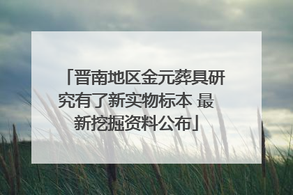 晋南地区金元葬具研究有了新实物标本 最新挖掘资料公布