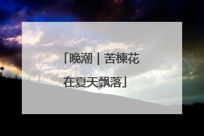 晚潮｜苦楝花在夏天飘落