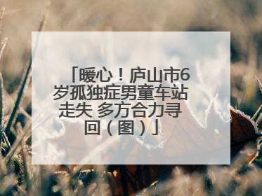 暖心！庐山市6岁孤独症男童车站走失 多方合力寻回（图）