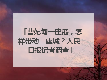 曹妃甸一座港，怎样带动一座城？人民日报记者调查