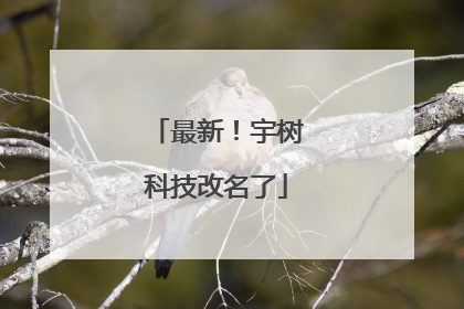 最新！宇树科技改名了
