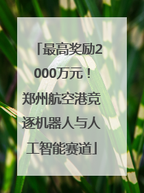 最高奖励2000万元！郑州航空港竞逐机器人与人工智能赛道