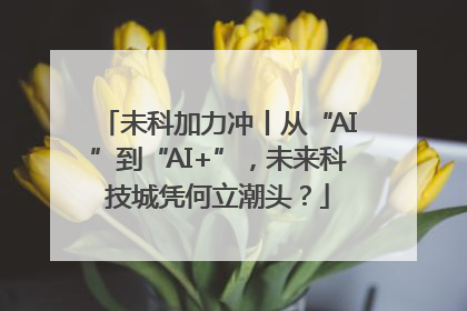 未科加力冲丨从“AI”到“AI+”，未来科技城凭何立潮头？