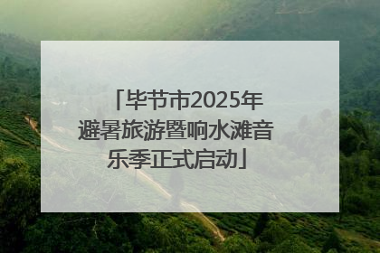 毕节市2025年避暑旅游暨响水滩音乐季正式启动