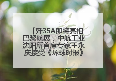 歼35A即将亮相巴黎航展，中航工业沈阳所首席专家王永庆接受《环球时报》专访：未来数量可以有很多