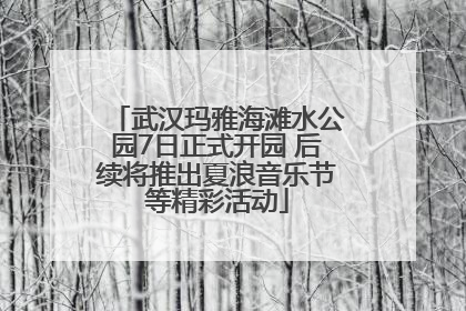 武汉玛雅海滩水公园7日正式开园 后续将推出夏浪音乐节等精彩活动