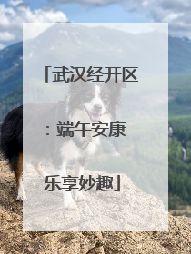 武汉经开区：端午安康 乐享妙趣