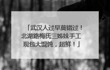 武汉人过早莫错过！北湖路梅氏三姊妹手工现包大馄饨，超鲜！