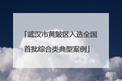 武汉市黄陂区入选全国首批综合类典型案例