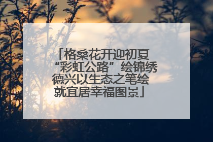 格桑花开迎初夏 “彩虹公路”绘锦绣 德兴以生态之笔绘就宜居幸福图景