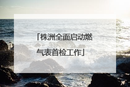 株洲全面启动燃气表首检工作